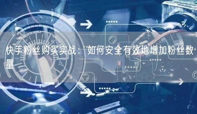 快手粉丝购买实战:如何安全有效地增加粉丝数量