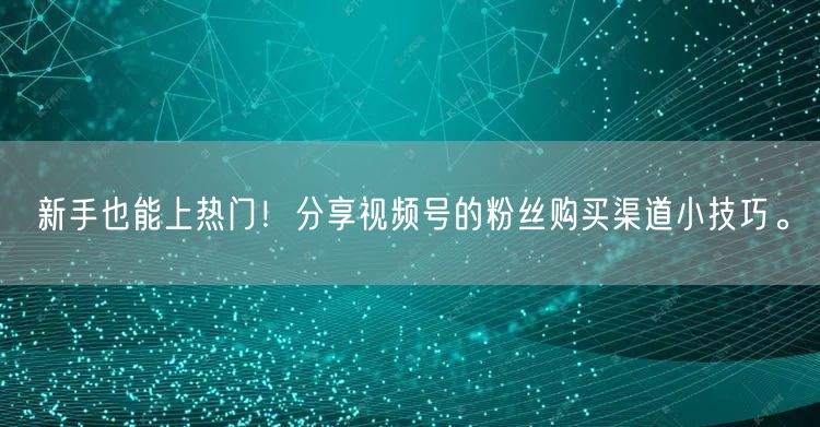 新手也能上热门！分享视频号的粉丝购买渠道小技巧。