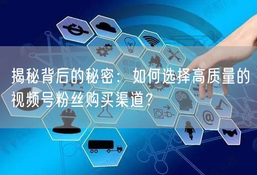 揭秘背后的秘密:如何选择高质量的视频号粉丝购买渠道?