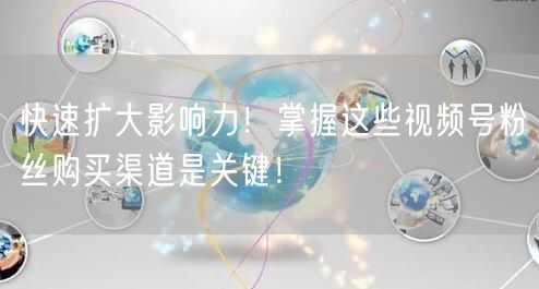 快速扩大影响力!掌握这些视频号粉丝购买渠道是关键!
