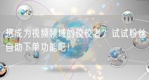 想成为视频领域的佼佼者？试试粉丝自助下单功能吧！