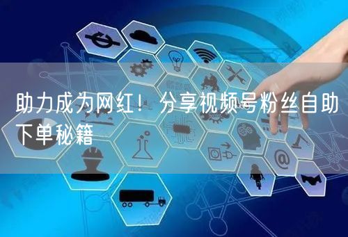 助力成为网红！分享视频号粉丝自助下单秘籍