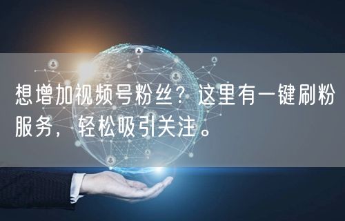想增加视频号粉丝?这里有一键刷粉服务,轻松吸引关注。