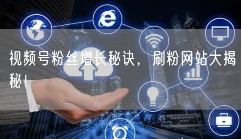 视频号粉丝增长秘诀,刷粉网站大揭秘!