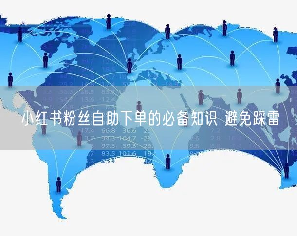 小红书粉丝自助下单的必备知识 避免踩雷