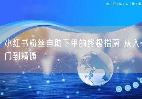 小红书粉丝自助下单的终极指南 从入门到精通