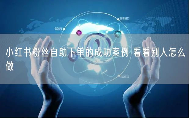 小红书粉丝自助下单的成功案例 看看别人怎么做