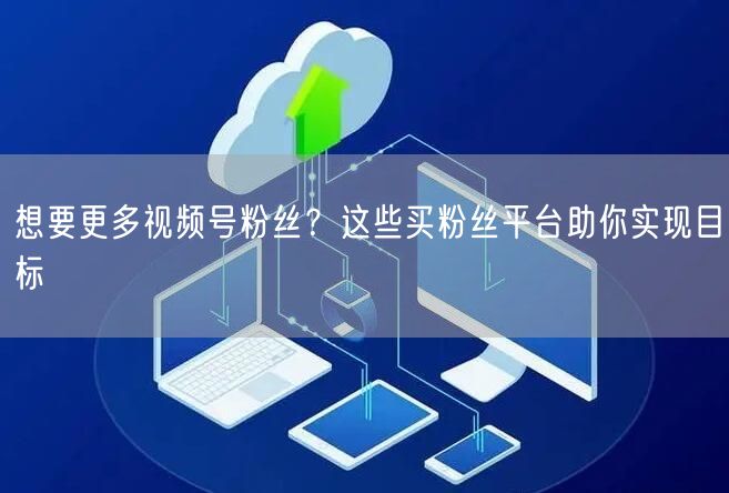 想要更多视频号粉丝?这些买粉丝平台助你实现目标