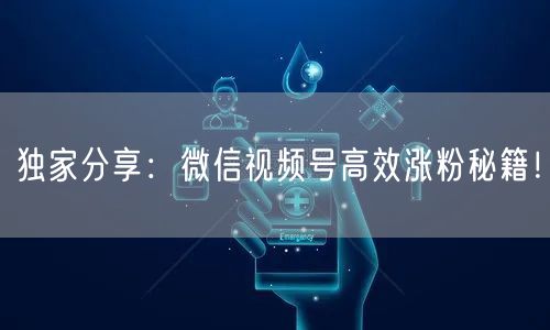 独家分享：微信视频号高效涨粉秘籍！