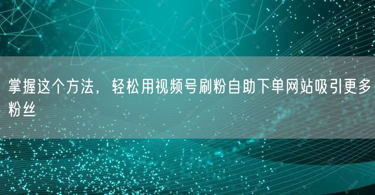 掌握这个方法,轻松用视频号刷粉自助下单网站吸引更多粉丝