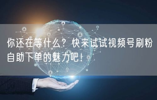 你还在等什么?快来试试视频号刷粉自助下单的魅力吧!