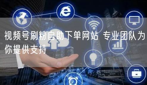 视频号刷粉自助下单网站 专业团队为你提供支持