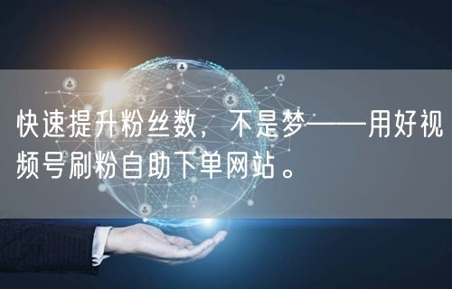 快速提升粉丝数,不是梦——用好视频号刷粉自助下单网站。
