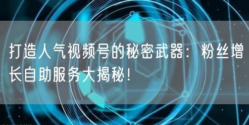 打造人气视频号的秘密武器：粉丝增长自助服务大揭秘！